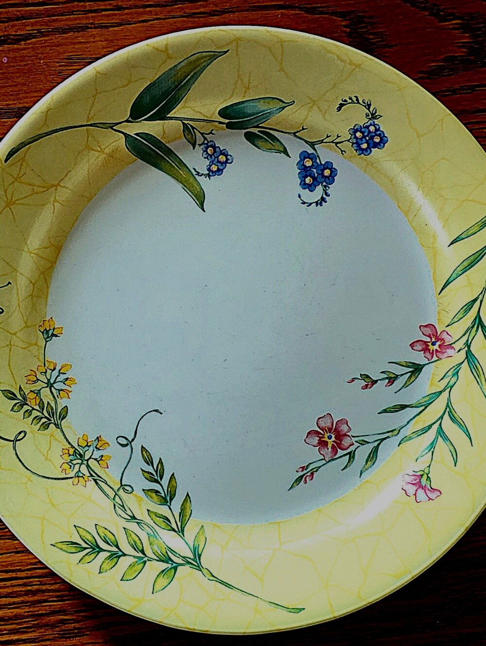 Set Of 4 Corelle Sun Garden Luncheon Plates Very Nice Condition- Very Pretty